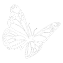 HL_wbutterfly