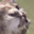 YA_athen Discord emoji