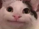 chatratio