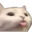 Cat2 cat2 Discord Emoji