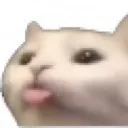 Cat3 cat3 Discord Emoji