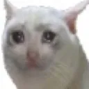 sadcar Discord Emoji