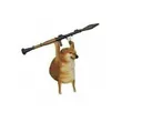 doge_rocket
