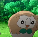 rowlett_worry rowlett_worry