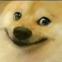 doggo