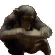 MonkeySmash