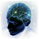 BigBrain