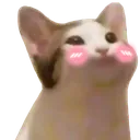 AL_xcat_cutepie