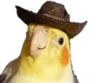 kovboy_sukru Discord emoji
