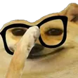 :yesiyam: