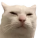 sus