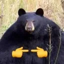 UwU_bear