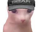 eft_bearngus