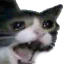 cry