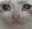 SadCat