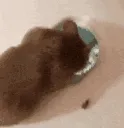 hamBye