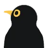 birdgaze