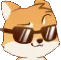 shibaCool shibaCool