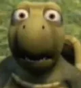 wtf