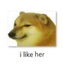 ilikeher ilikeher