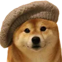 doge_frenchie