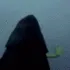 OTG_Slap OTG_Slap