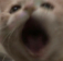 ch_wowie Discord emoji