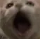 ch_wowie ch_wowie