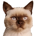 Xefi Discord emoji