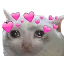 ml_cat10 Discord Emoji