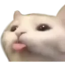 ml_cat9 Discord Emoji