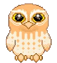 SK_5261owlet