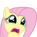 flutternoh