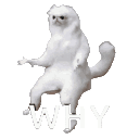 why Discord emoji