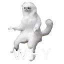 why