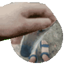 pet_FPITS