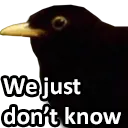dunnobird
