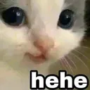 hehecat