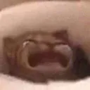 waaa