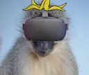 CJVRBanana