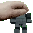cadetpet