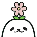 eggyflower