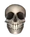 nokiaskull