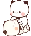 amiruspandakiss