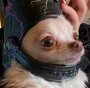 LunaWhenHat