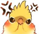 birb_angry