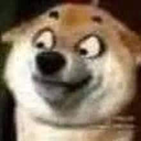 dog_cjztr Discord emoji