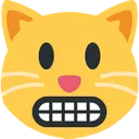 catgrimace