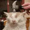 wc_hammercat
