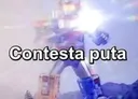 contestaputa